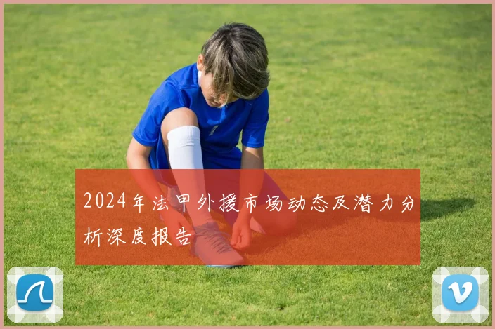 2024年法甲外援市场动态及潜力分析深度报告