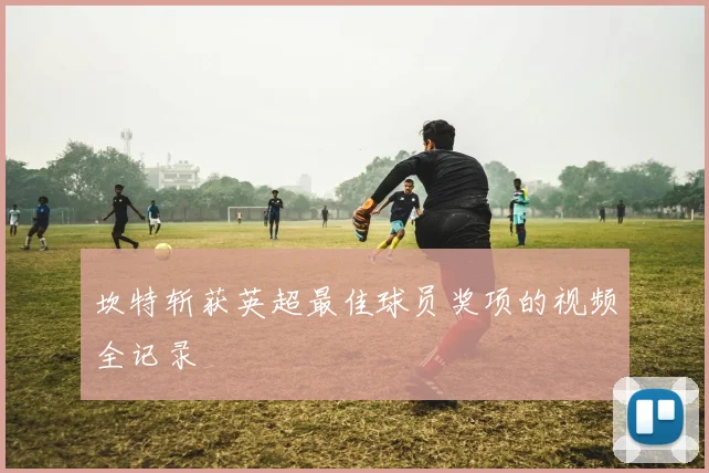 坎特斩获英超最佳球员奖项的视频全记录