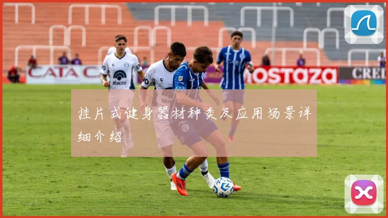 挂片式健身器材种类及应用场景详细介绍