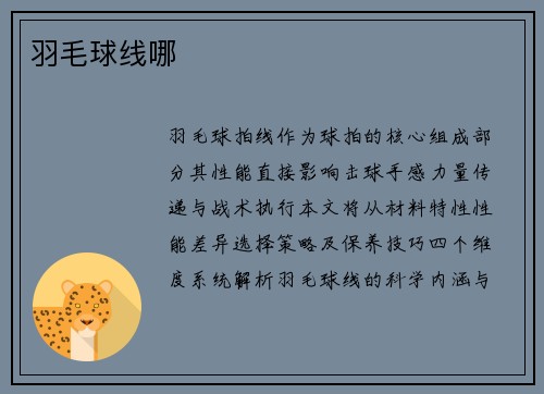 羽毛球线哪